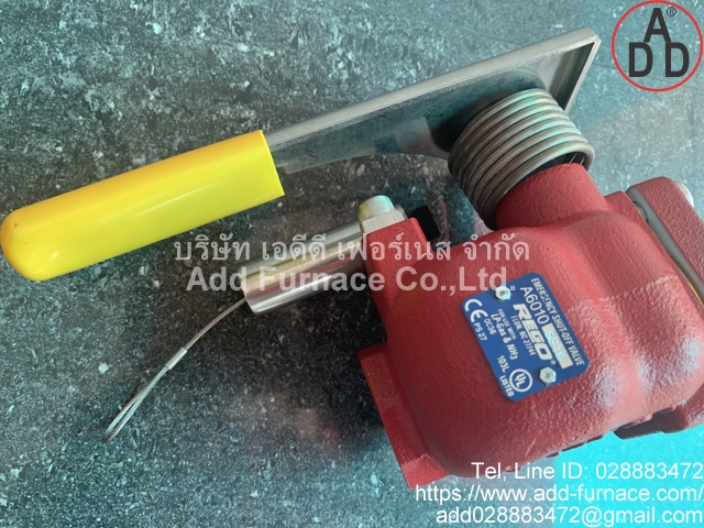 Rego 6010 6E19 Emergency Shut-Off Valve (3)